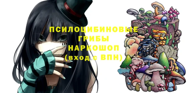 МДПВ Алексеевка