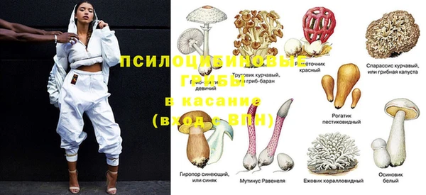 экстази Алзамай
