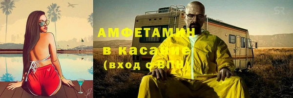 стафф Алексин