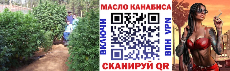 где найти наркотики Барыш ТГК концентрат